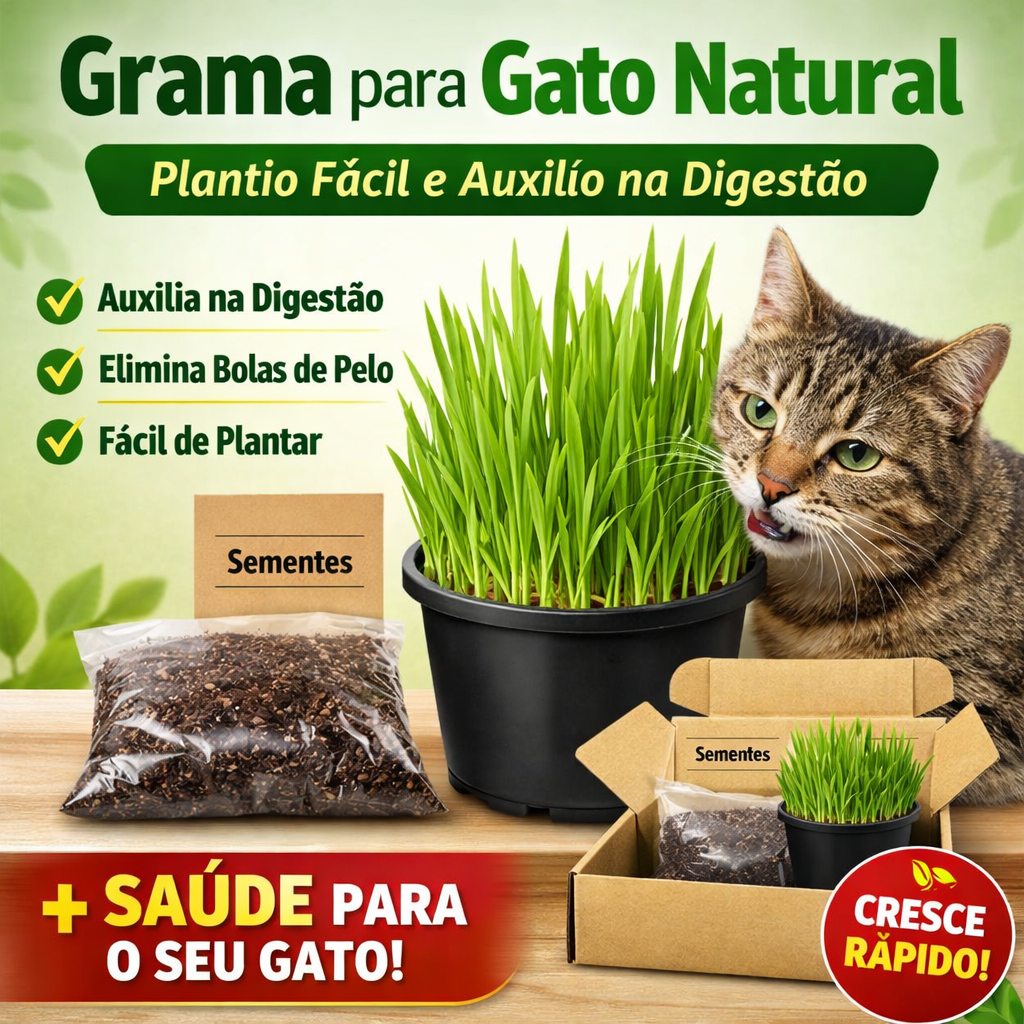 Grama para Gato Natural – Plantio Fácil e Auxílio na Digestão