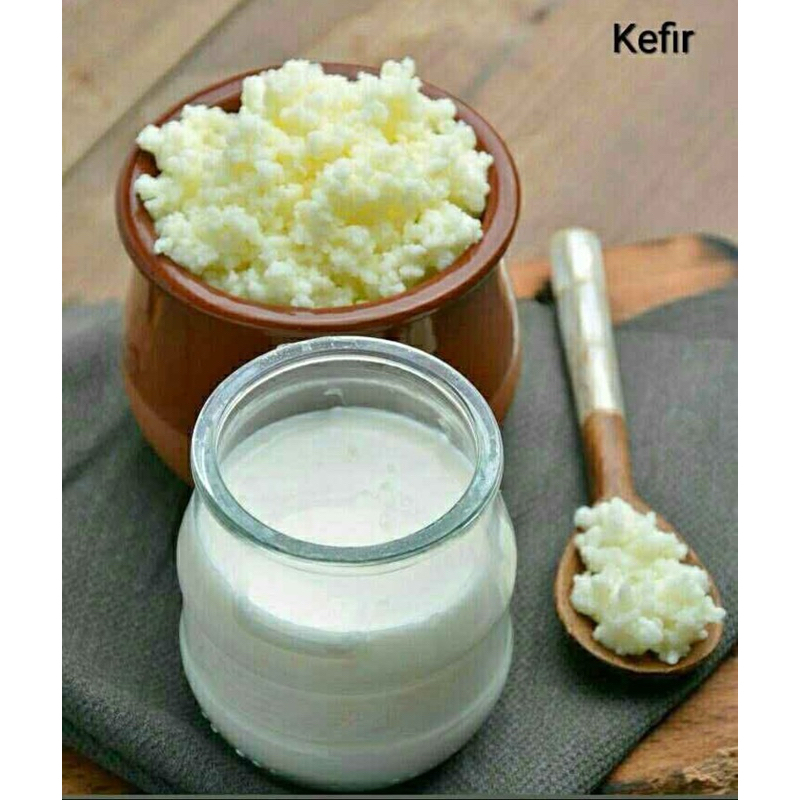 Uma porção de kefir ativo👵Iogurte Infinito da Vovó Premium.SUPERPROMOÇÃO