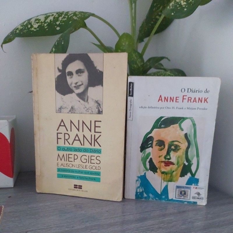 Sebo Coleção 2 livros  Annne Frank