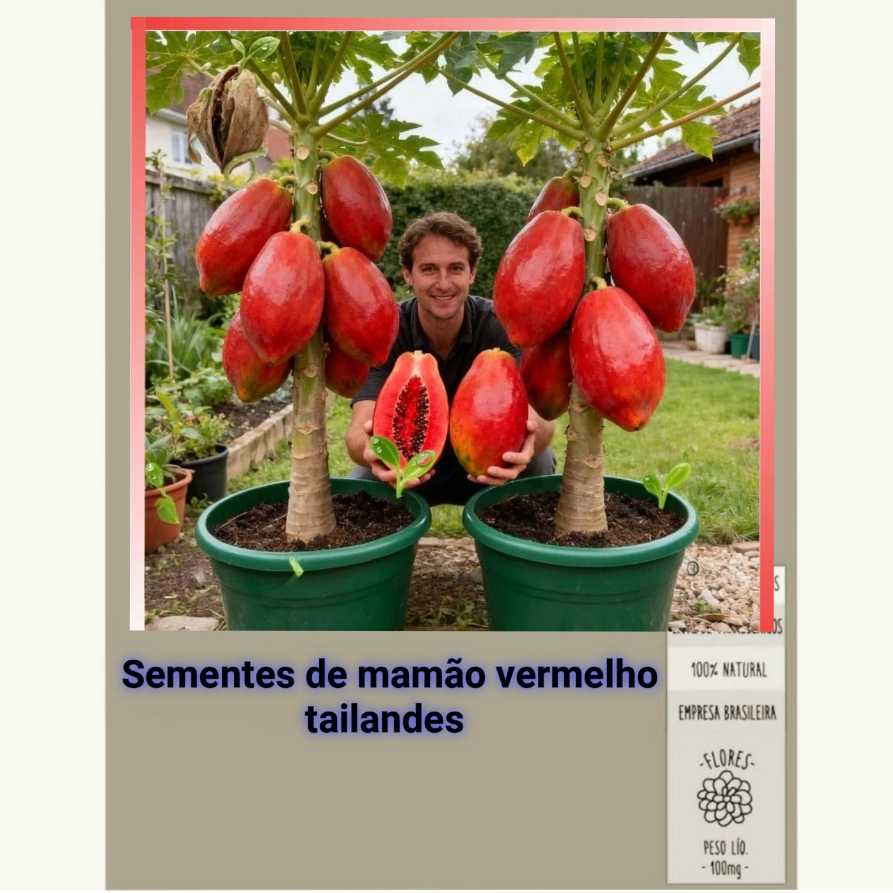 Mamão Vermelho Tailandês Para Vaso 10 Sementes de Qualidade
