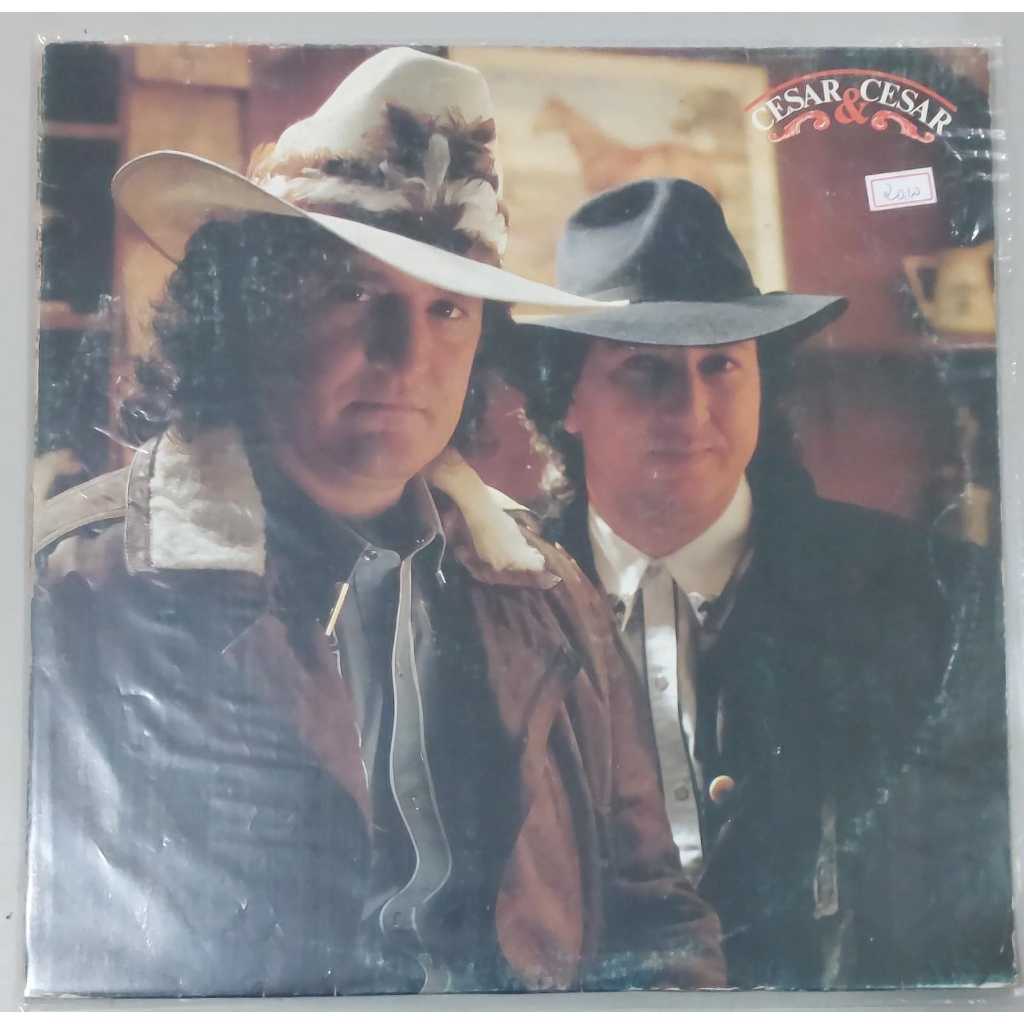 LPs / Discos de Vinil de Musicas Sertanejas *(DISCOS 1)*