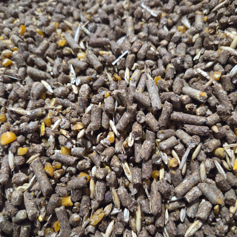 ATÉ 10 KG Ração para Ceva Melaçada - Ração de Cavalo com Melaço - Melaçada para Pesca