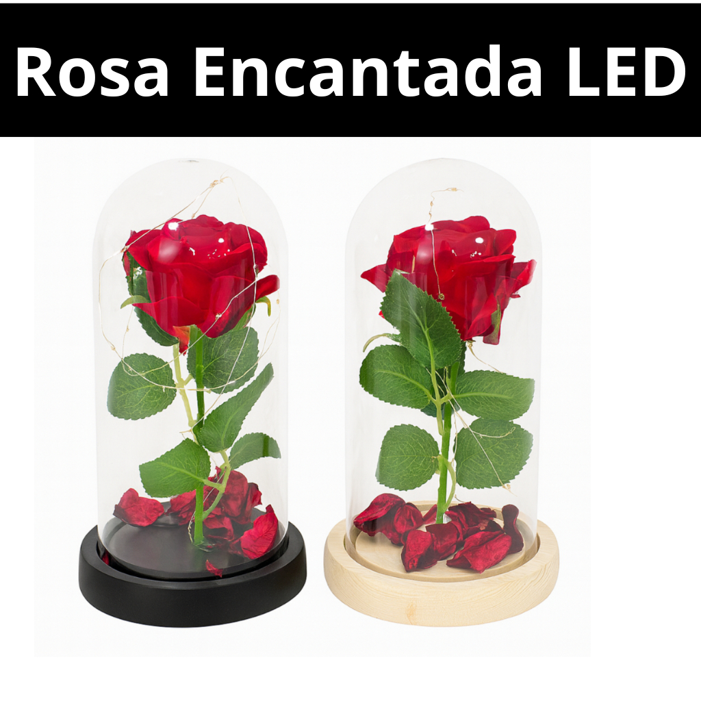 Rosa Preservada na Cúpula  – Decoração e Presente com Luz LED