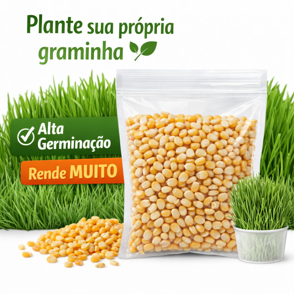 Sementes de Milho Premium para Gatos 50g | Cultivo Fácil em Casa | Alta Germinação