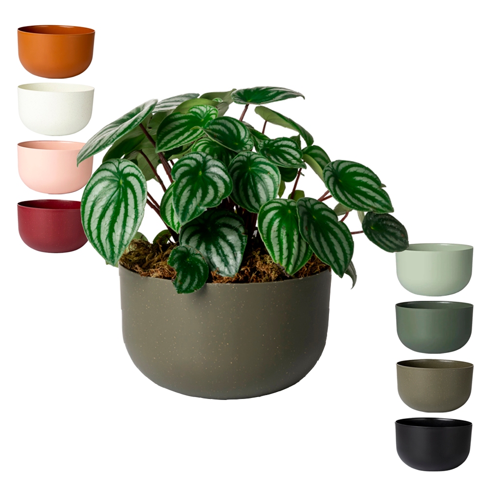 Cachepo Due N6 Cuia 21 Plantas Vasos Raiz 24cm - Cor