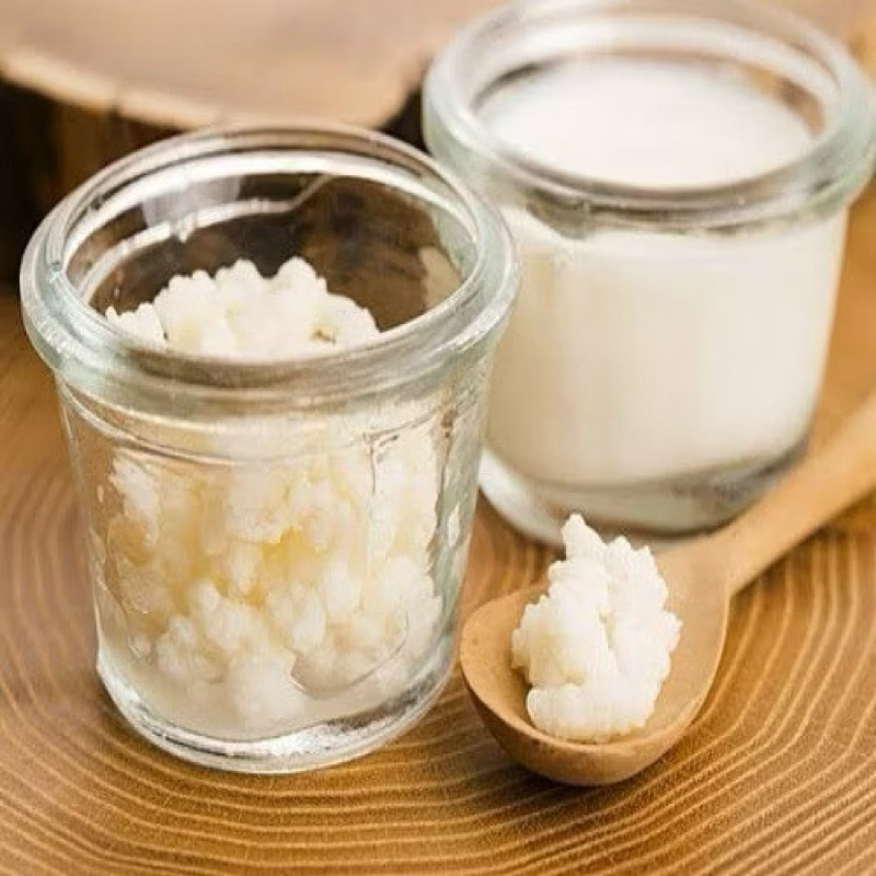 Uma porção de kefir ativo👵Iogurte Infinito da Vovó Premium.SUPERPROMOÇÃO