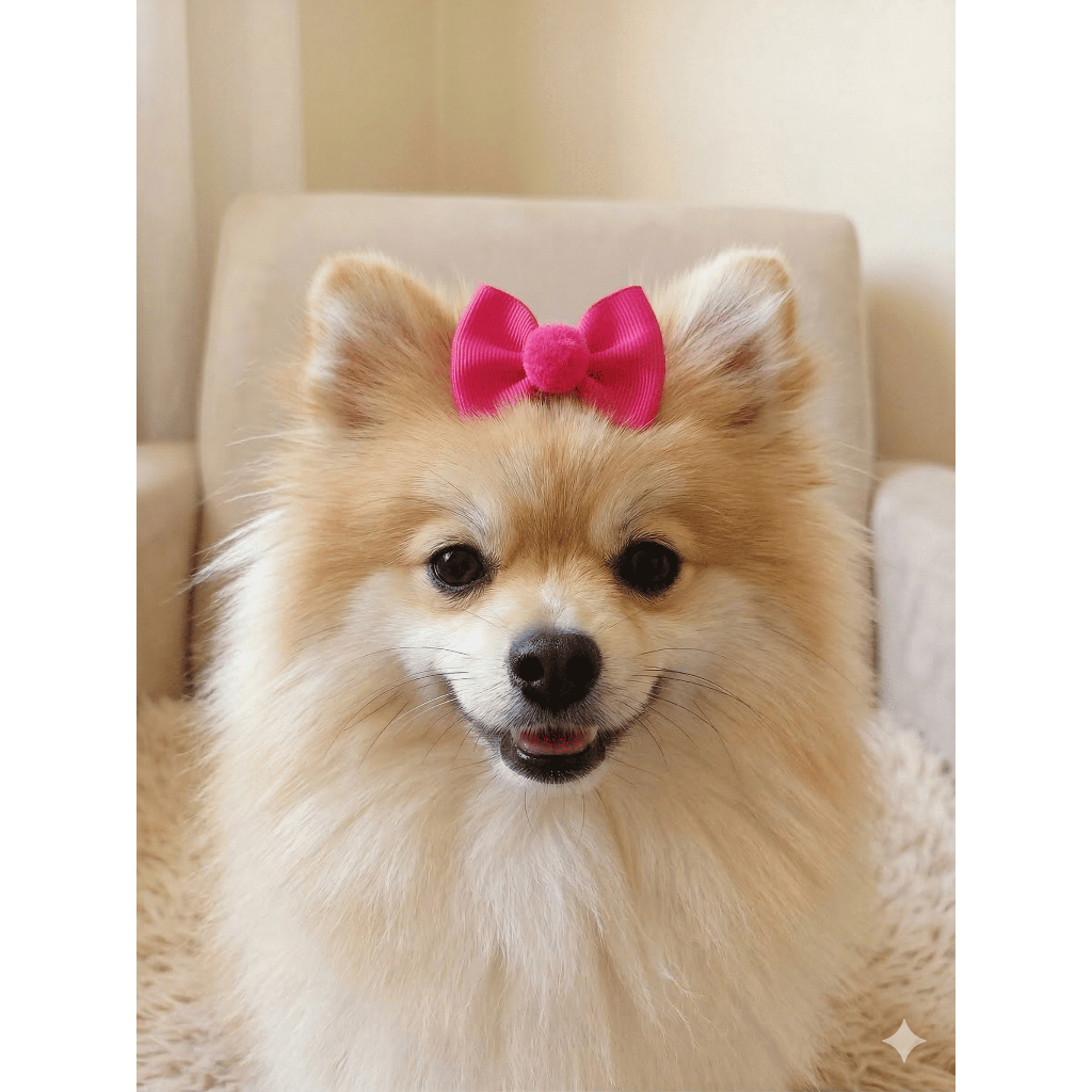 Kit 20 Laços Pet Lacinho de Gorgorão Pompom Cachorro Fêmea Acessórios Fofos PetShop Banho e Tosa