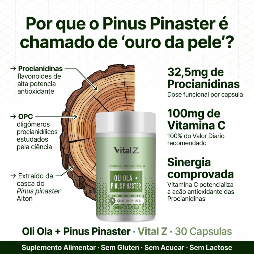 Oli Olá Pinus Pinaster Vital Z Procianidinas 32,5mg + Vitamina C 100mg 30 Cápsulas Antioxidante Pele