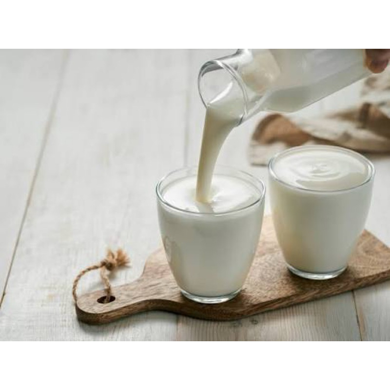 Kefir ativo fortíssimo IINFINITO da vovó 👵 prepara um iorgute muito cremoso!
