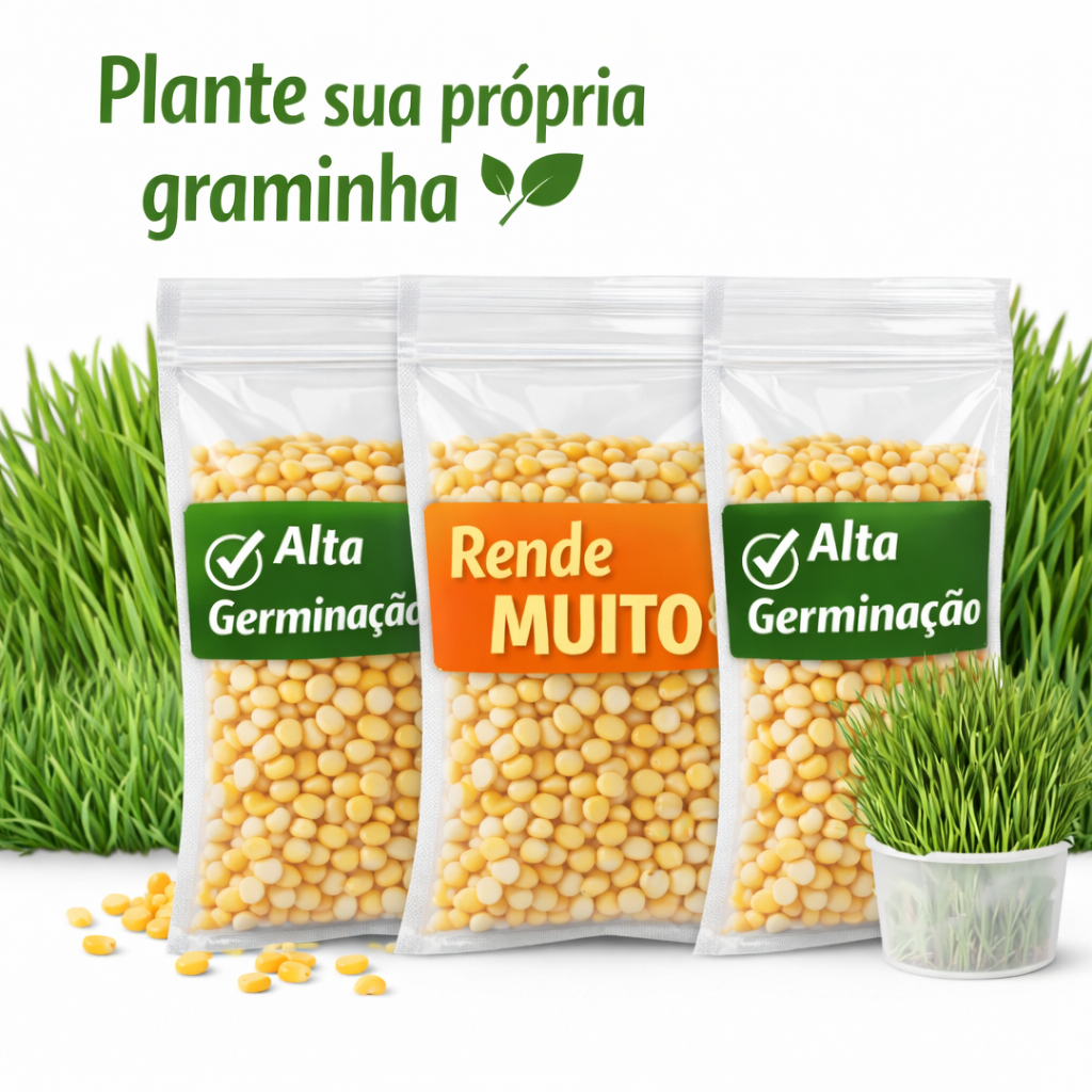 KIT COM 3 - Sementes de Milho Premium para Gatos 50g | Cultivo Fácil em Casa | Alta Germinação