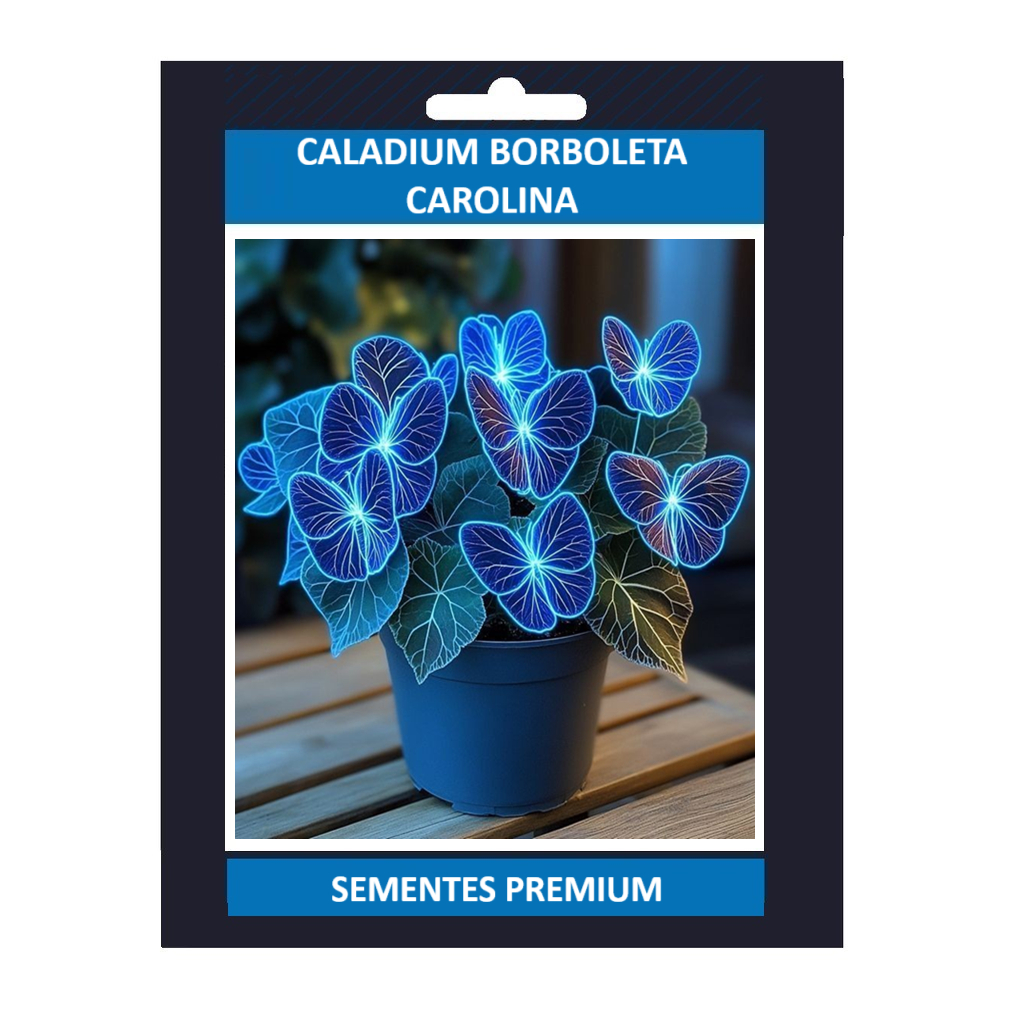 ENVIO SUPER RÁPIDO Caladium Borboleta Coralina – 100 sementes com manual de cultivo T1