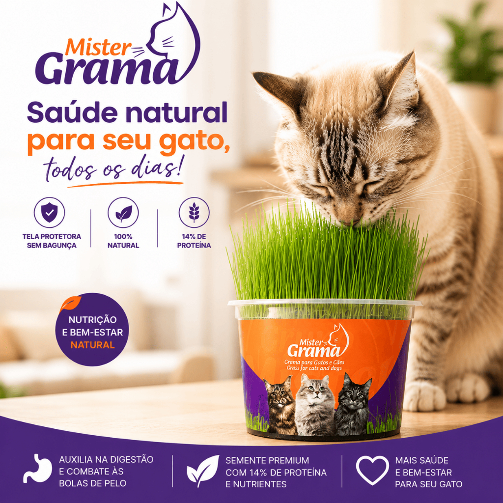 Graminha para Gato Mister / Fácil de plantar / Semente Premium Haiglas