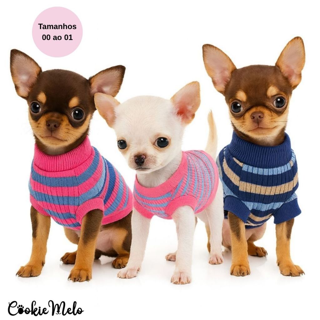 Kit 2 Roupa Pet Mini Pinscher Chihuahua Cachorro Raça Filhotes Porte Pequeno