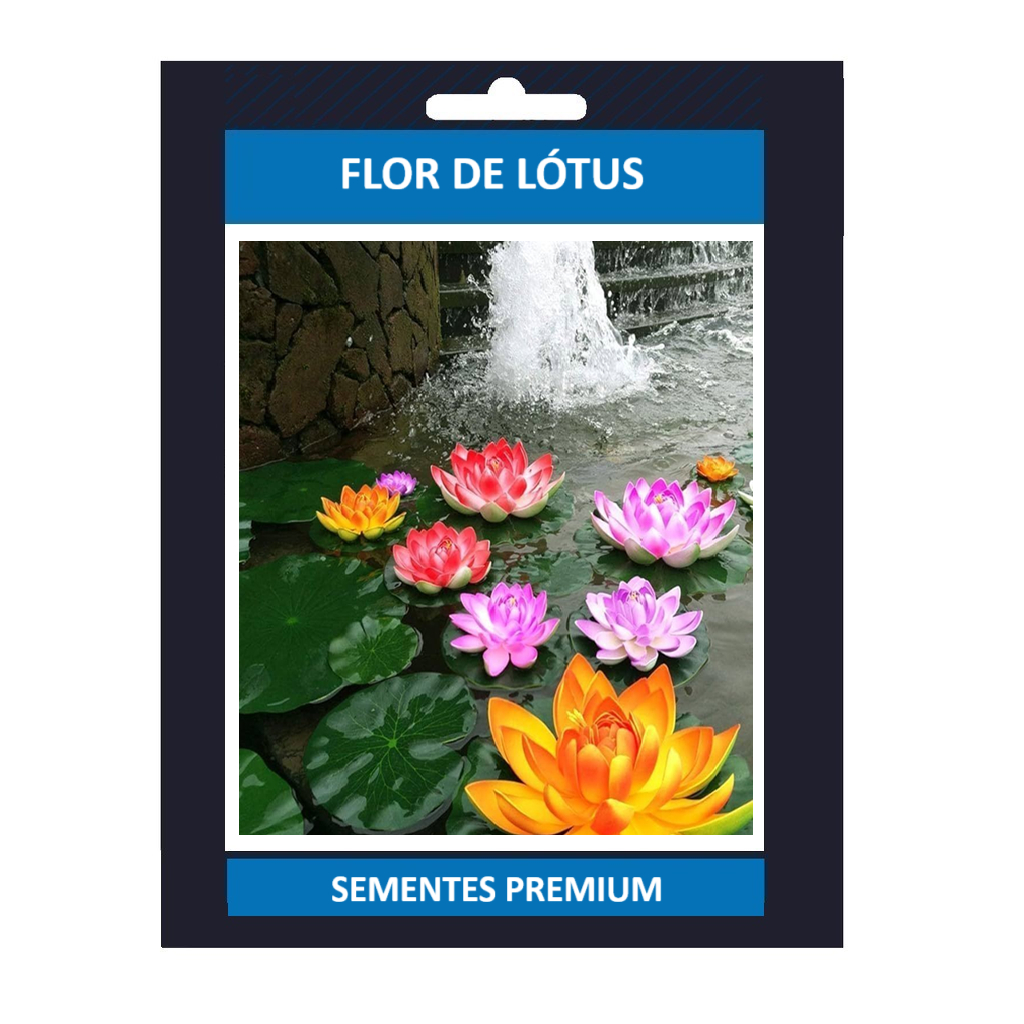 ENVIO SUPER RÁPIDO 10 Sementes de Flor de Lotus Sortidas T1