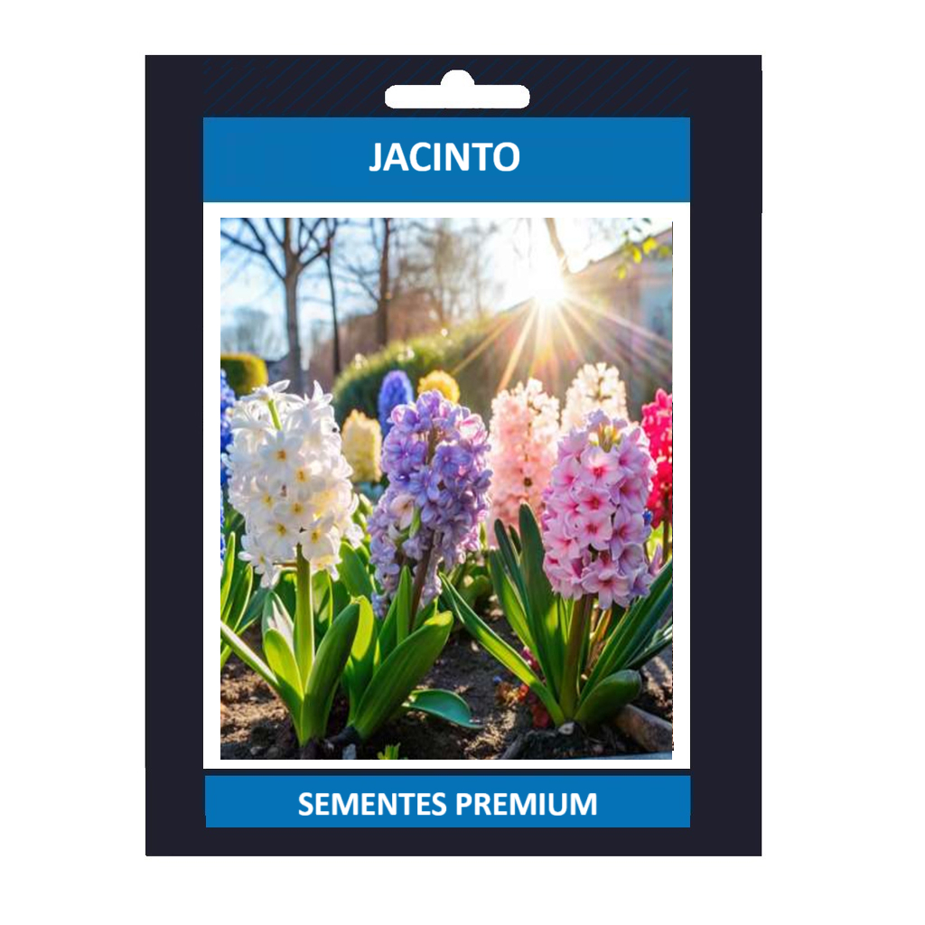 100 sements de flor jacinto originais sortidas pra fazer plantas novas gt Premium