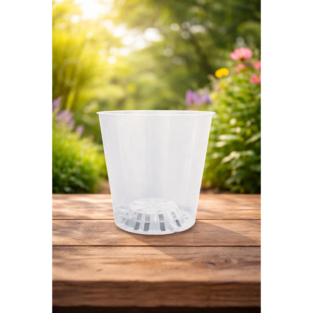 Kit Vasos Pote Para Orquídea Transparente N 12 Premium