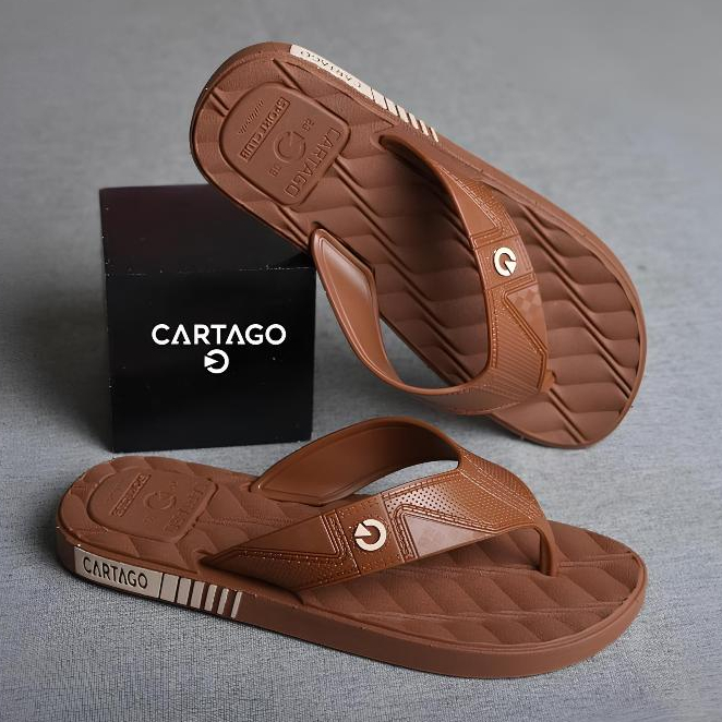 Chinelo Masculino Adulto Confortável Leve Calçe Facil PROMOÇÃO