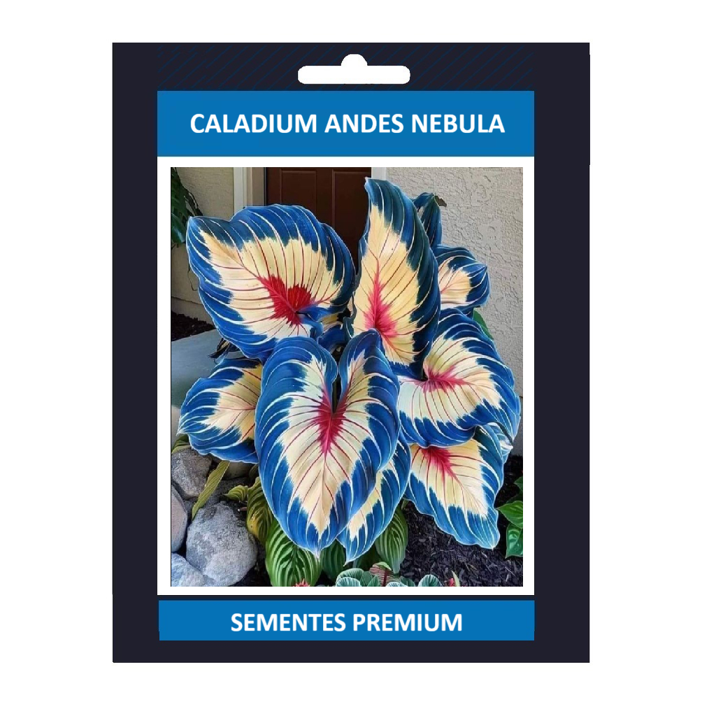 Caladium Andes Nebula 100 sementes com manual de cultivo Premium