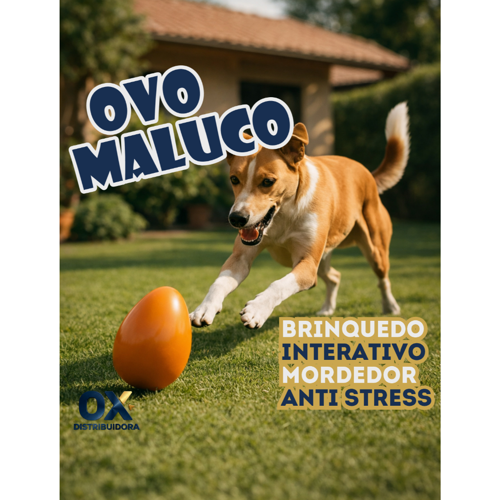 Brinquedo Cachorro Ovo Maluco Bolinha Interativa Diversos Tamanhos