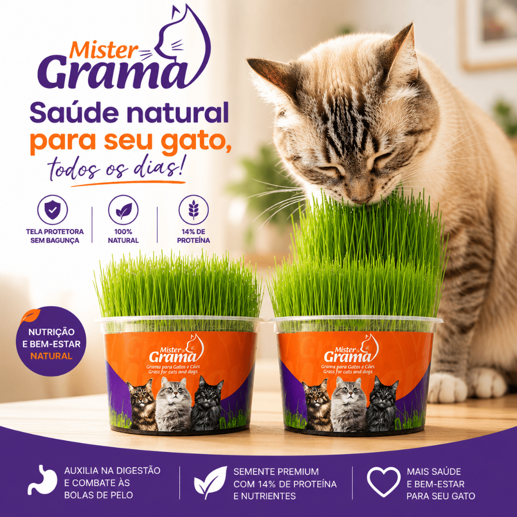 Kit com 2 Graminhas para Gato Mister / Fácil de plantar / Semente Premium Haiglas