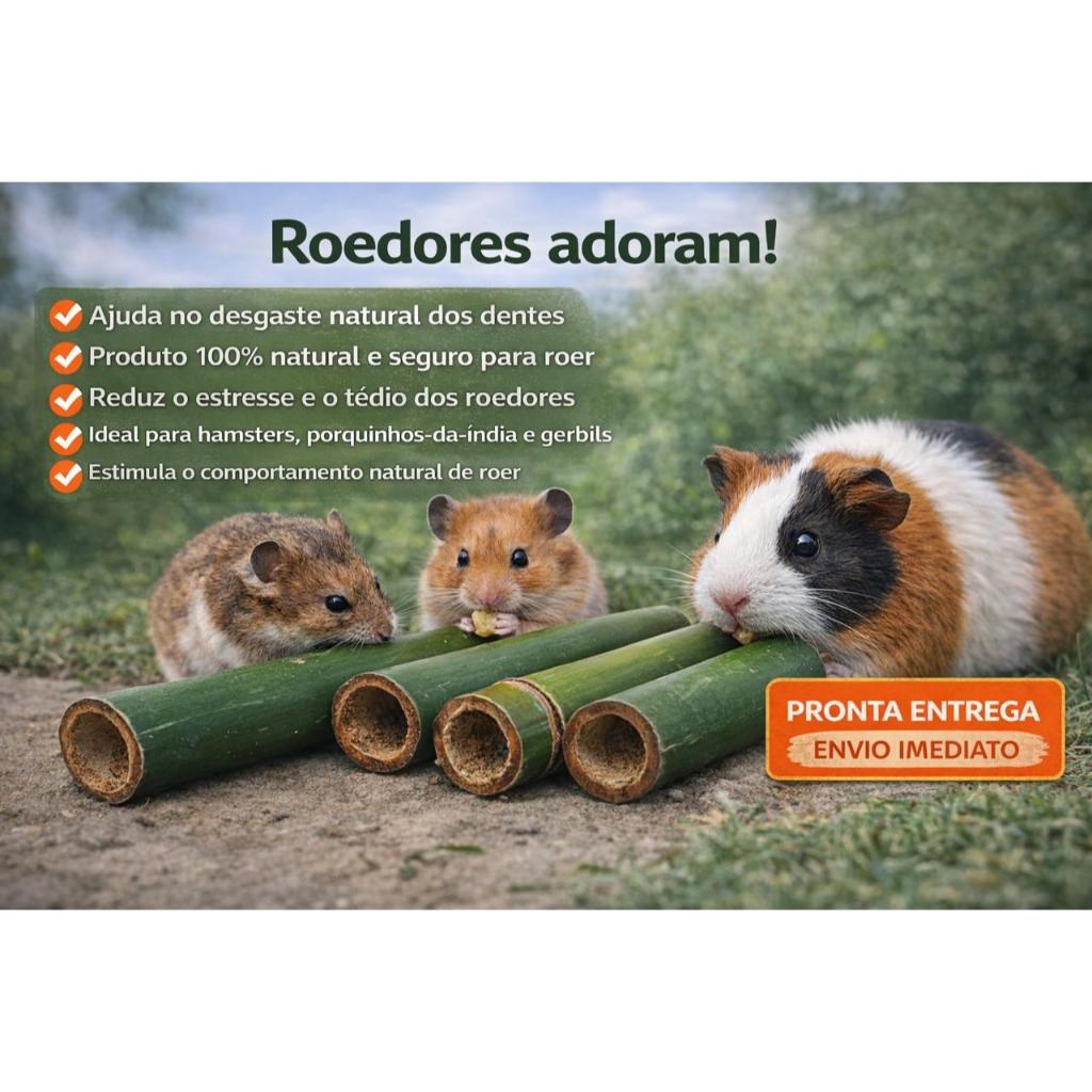 Brinquedo Bambú Natural Para Roedores Porquinho Da Índia Hamster Coelho