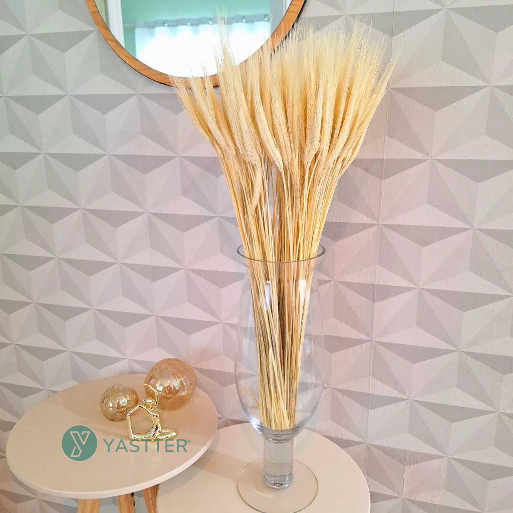 Trigo Seco Para Decoração 180 a 30 hastes Arranjos Flores Desidratadas Vaso Decorativo, Lembrancinha