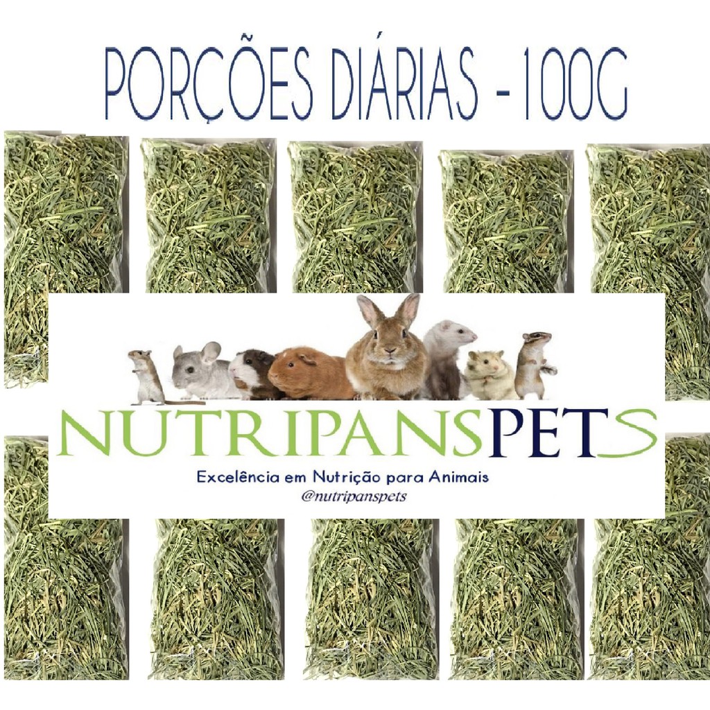 Feno Coast Cross Premium - Porção Diária Kit 10 x 100g In Natura