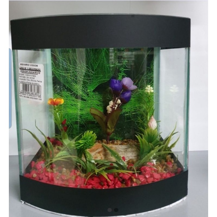 Aquário Beteira Curva 4 Litros Vidro Curvado Decoração Variada