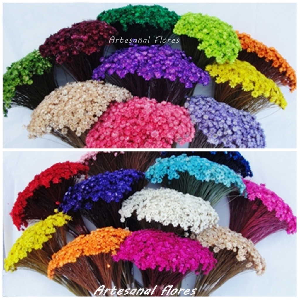 SEMPRE VIVAS FLORZINHAS DESIDRATADAS PARA LEMBRANCINHAS ARRANJOS DE MESA CASAMENTOS MAÇO ORGANIZADO