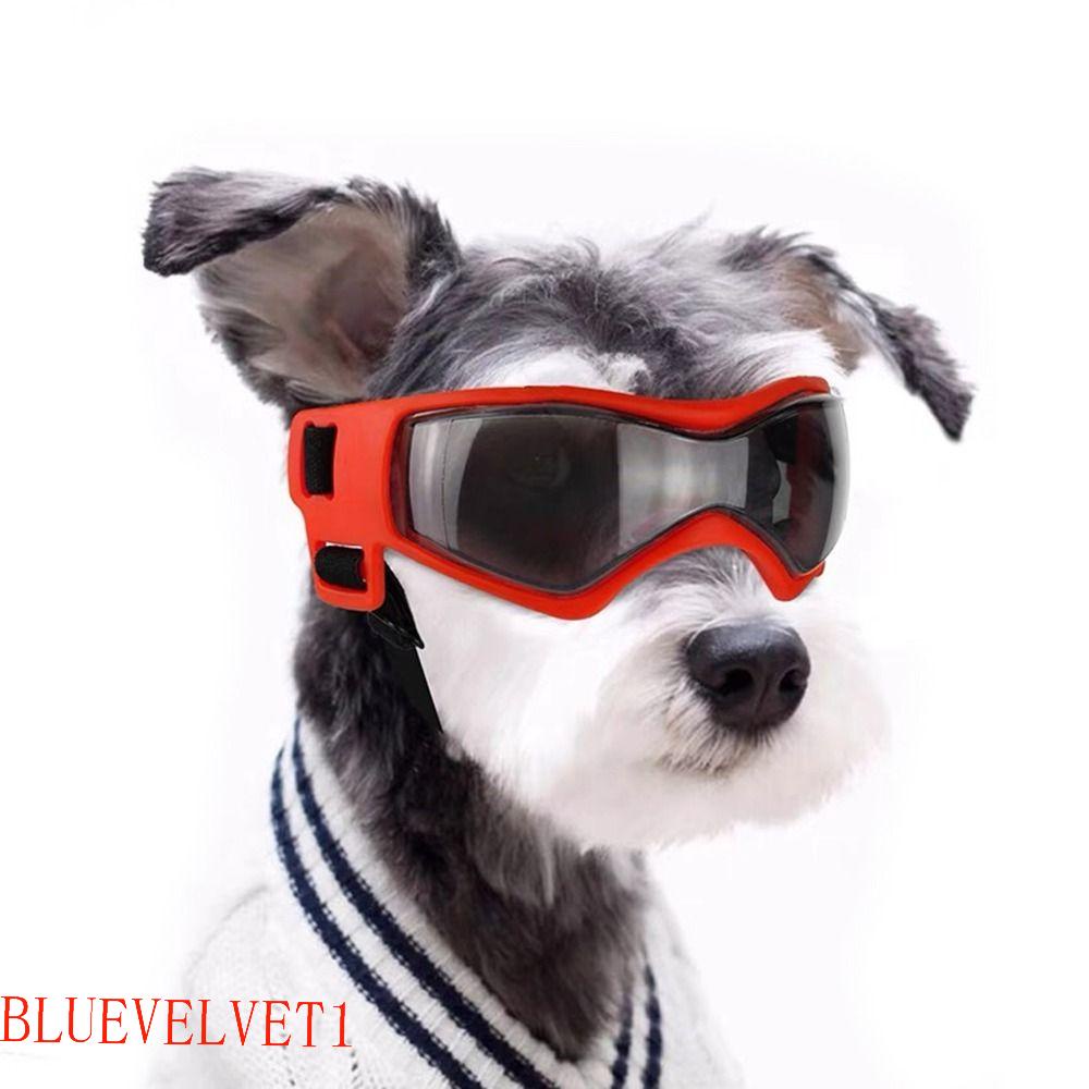 BLUEVELVET1 Pet Cat Óculos 2023 Alça Ajustável À Prova De Vento Proteção Contra Poeira De Sol Para Cachorrinhos