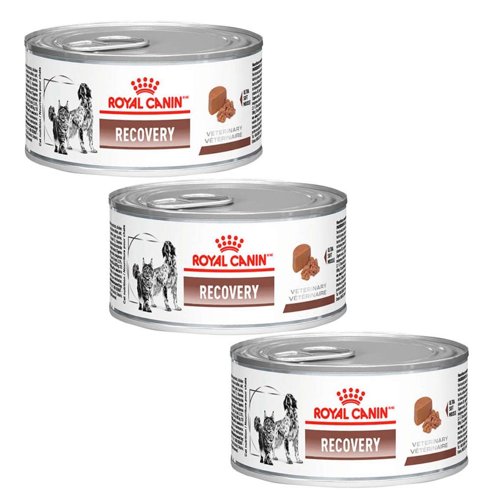 Kit com 3 Rações Úmidas Lata Royal Canin Veterinary Diet Recovery Cães e Gatos Adultos 195g