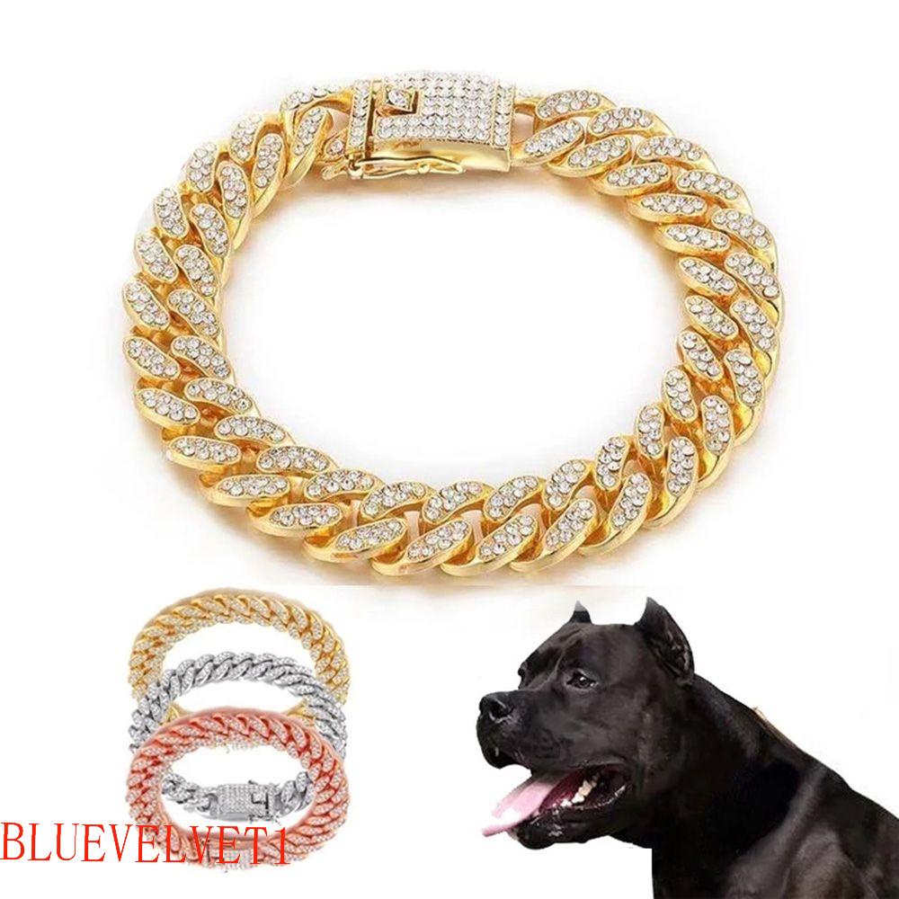 BLUEVELVET1 Colar De Luxo Personalizado Foto Adereços Metal Moda Suprimentos Para Animais De Estimação