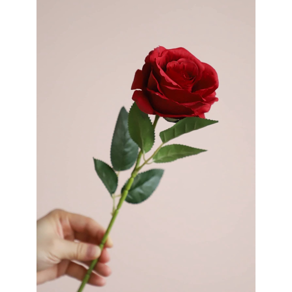HYQ0432 Artificial Plástico Rosa