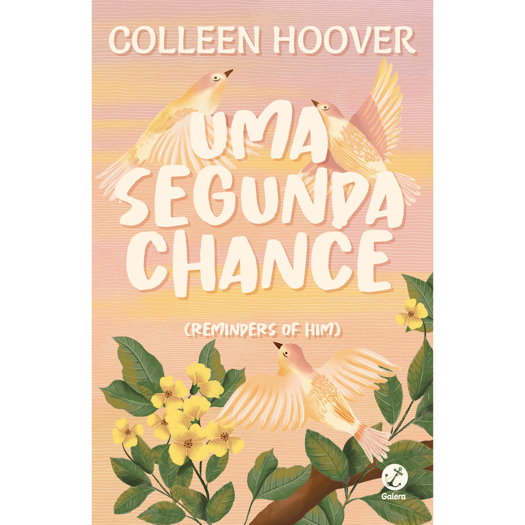 livro Uma segunda chance (Fenômeno do TikTok)