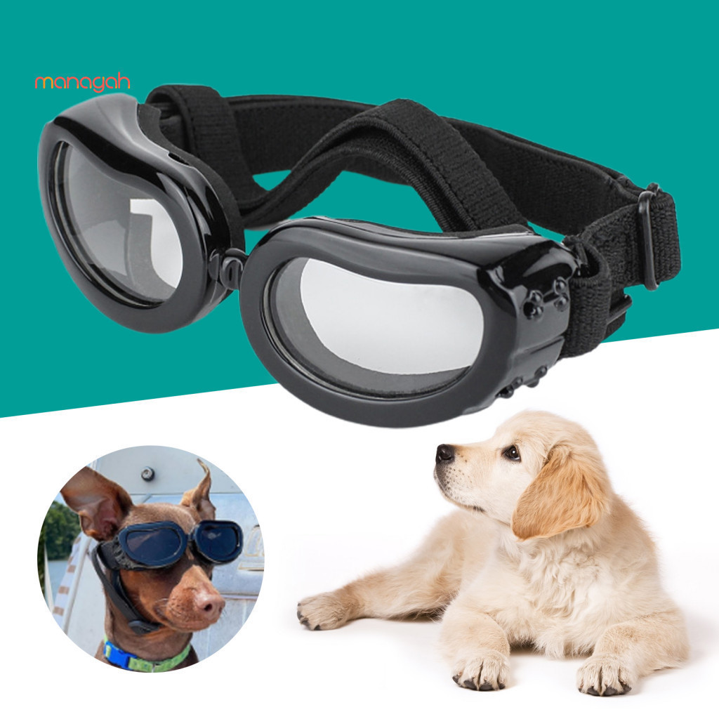 Óculos De Sol Para Animais De Estimação , Visão Clara , Ajustável , Proteção UV Os Olhos , Gato , Cachorro , Suprimentos