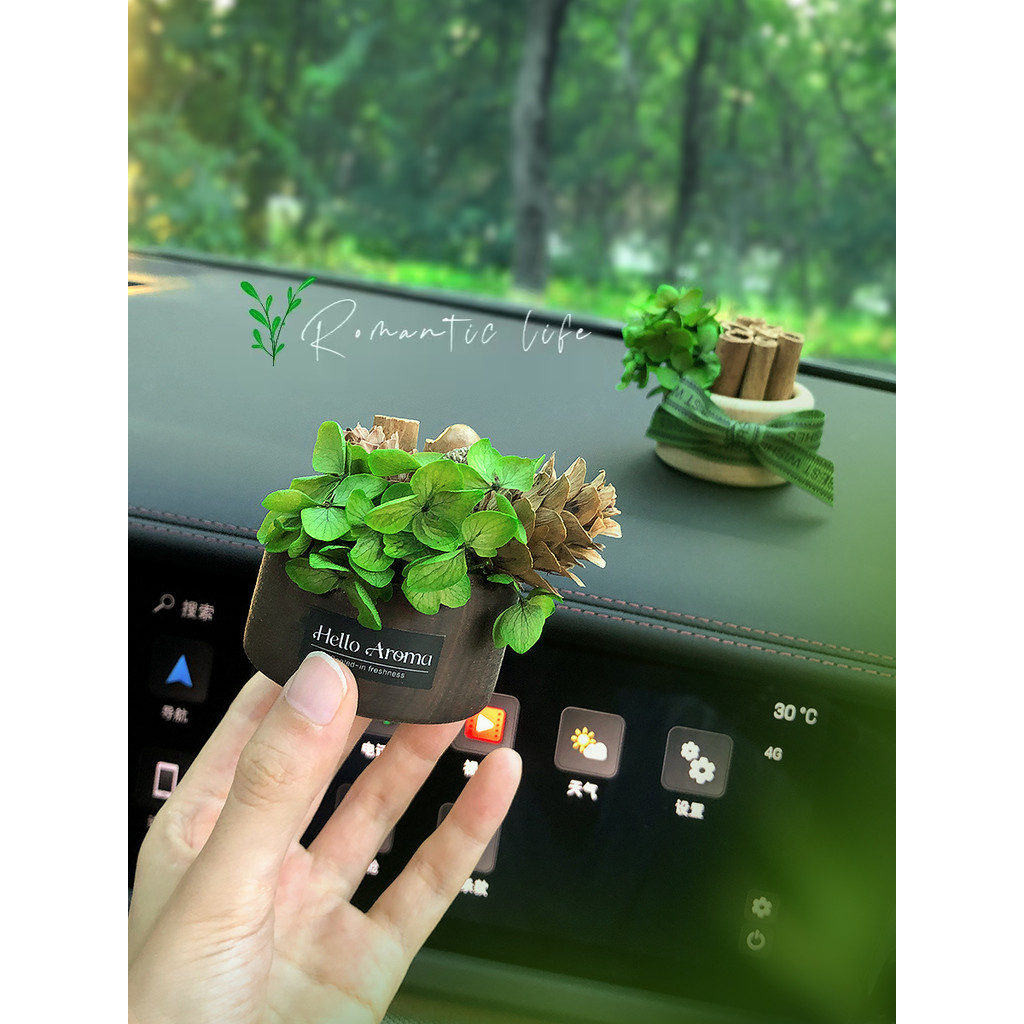 2026 novo estilo ornamentos de carro aromaterapia High-End sentimento difusor madeira Interior Console central decoração