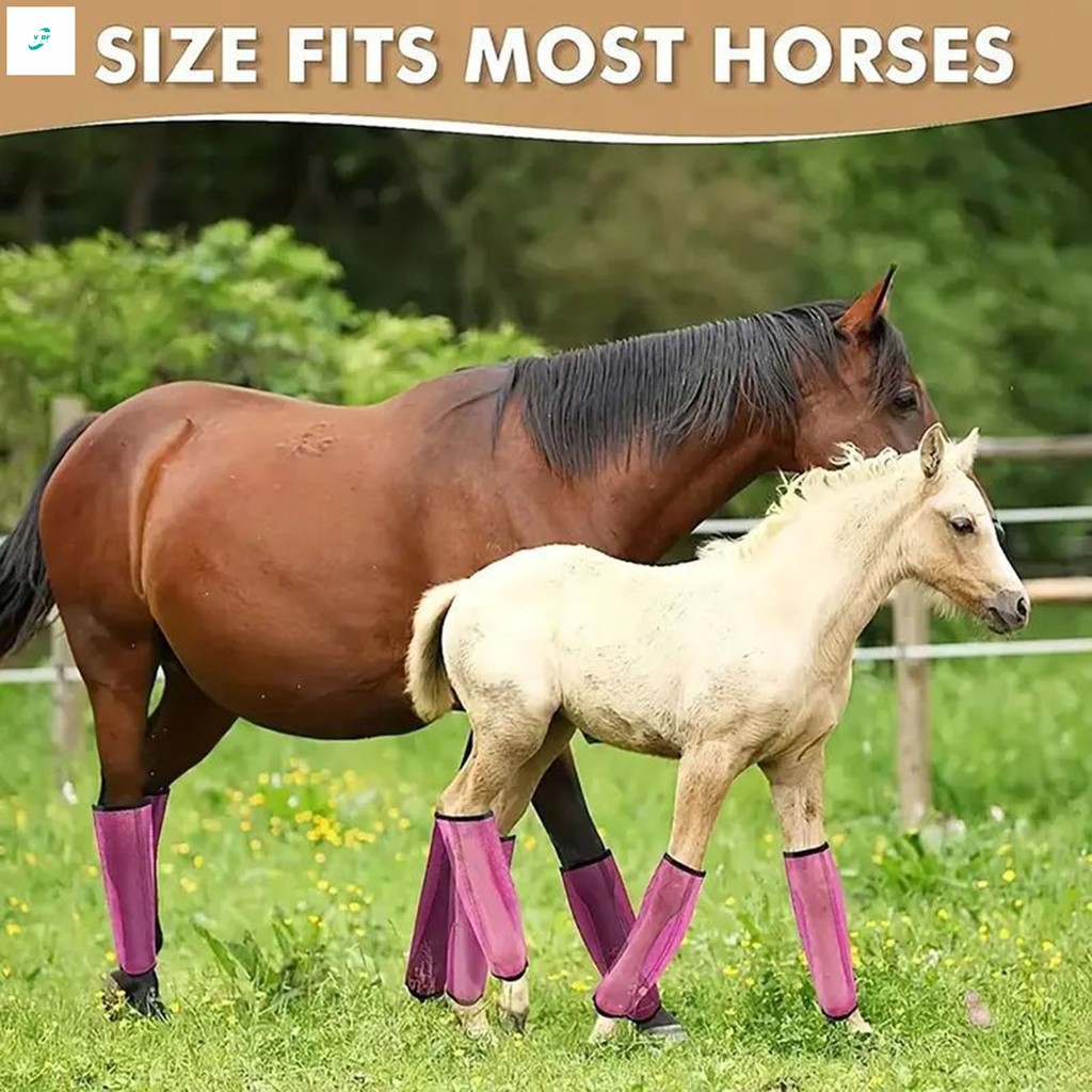Conjunto De Botas De Mosca De Cavalo De Malha , 4 Unidades , Respirável , Flexíveis Para Caber Na Maioria Das Pernas