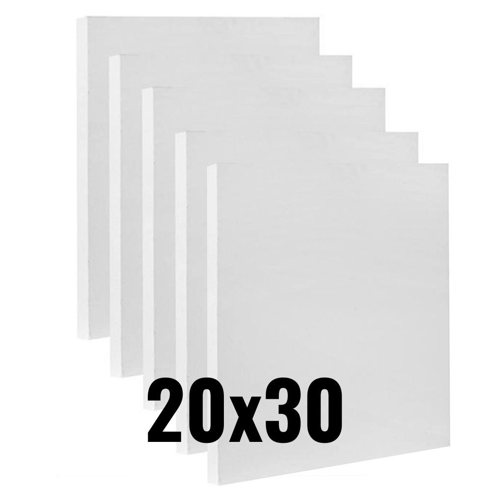Kit 6 Telas Para Pintura 20x30 Para Tintas Óleo, Guache ou Acrílica