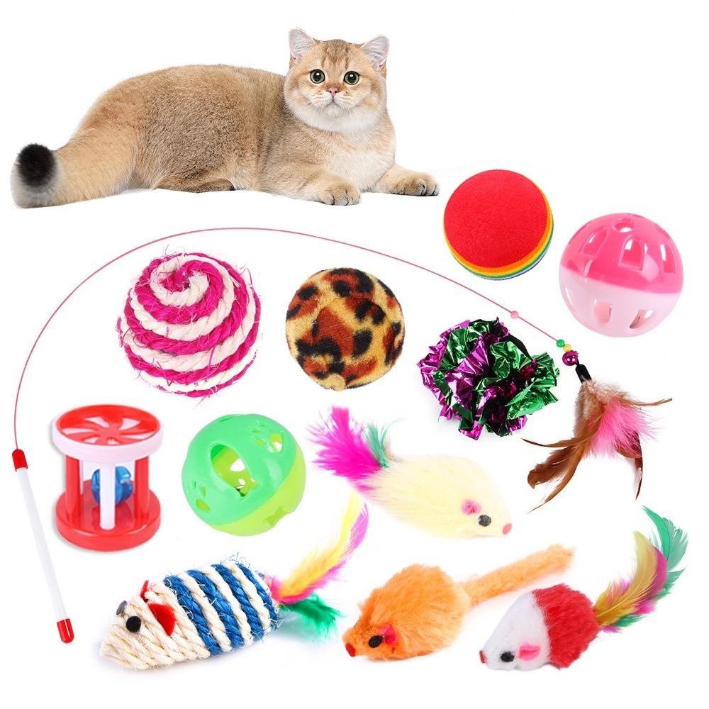 Kit 21 Brinquedos para Gatos Ratinho Bolinha Varinha Gatinho