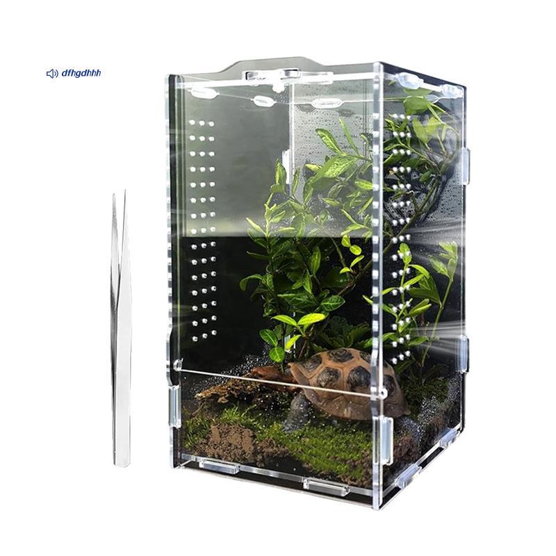 Gabinete De Aranha Saltador , Terrário Acrílico Grande Com Abertura De Tarântula , Acessórios Para Saltadora De Répteis