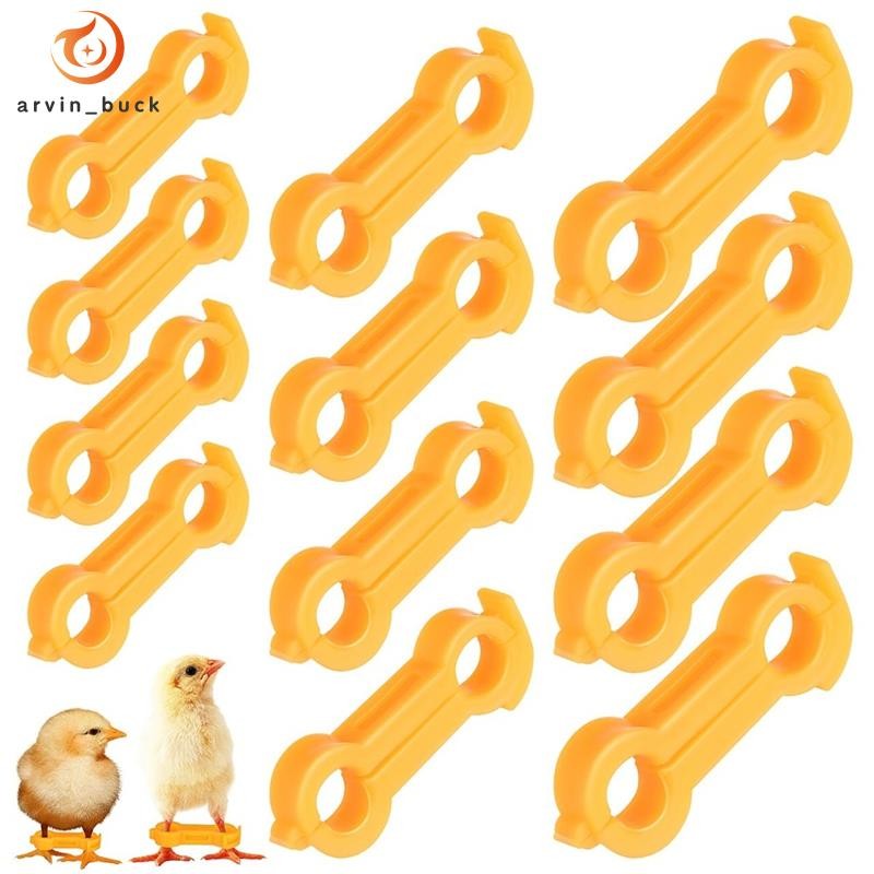 Faixas De Perna De Aves , Dobradiças Pintinho De Bebê , Cinta De Dobra Brincar 12 Unidades , Aparelho De Balanço De Fran