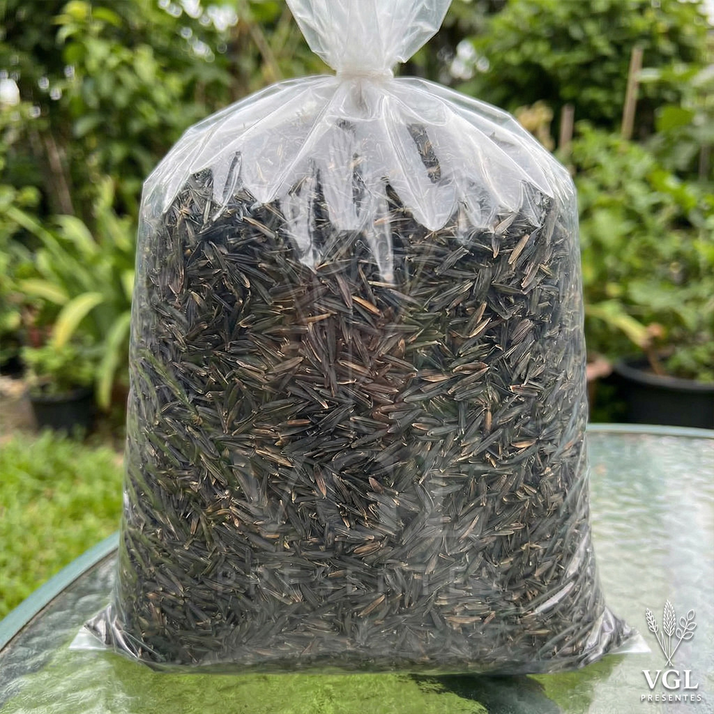 Casca de Arroz Carbonizada 50L Substrato  Natural Profissional Jardinagem Cultivo Drenagem Plantas